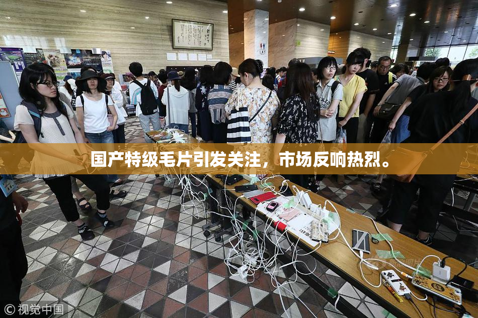 国产特级毛片引发关注，市场反响热烈。