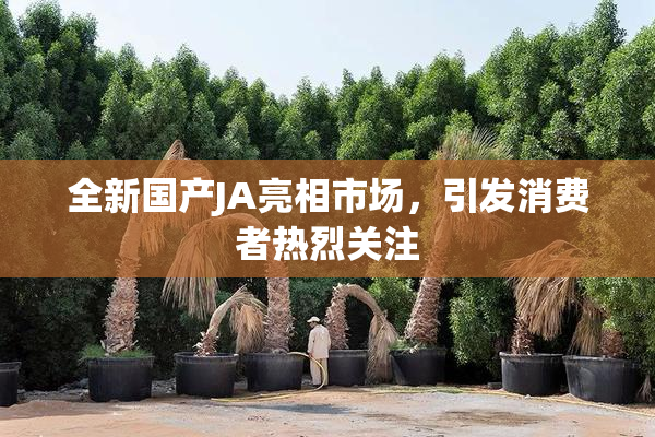 全新国产JA亮相市场，引发消费者热烈关注