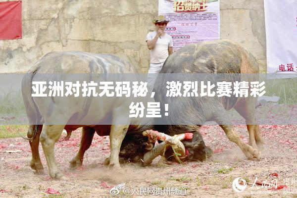 亚洲对抗无码秘，激烈比赛精彩纷呈！