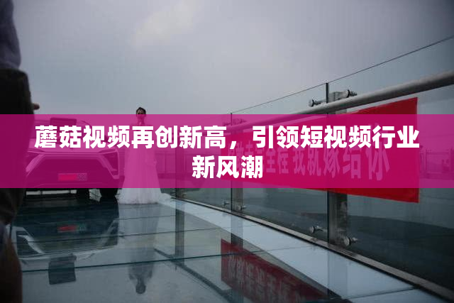 蘑菇视频再创新高，引领短视频行业新风潮