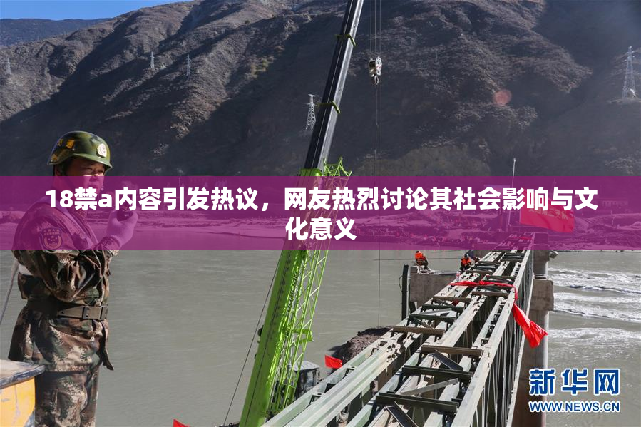 18禁a内容引发热议，网友热烈讨论其社会影响与文化意义