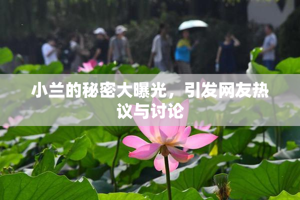 小兰的秘密大曝光，引发网友热议与讨论