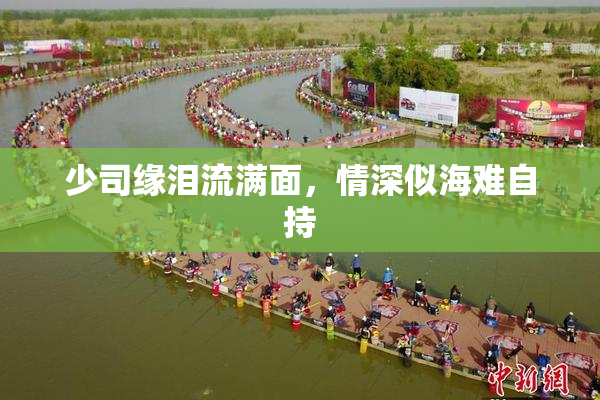 少司缘泪流满面，情深似海难自持