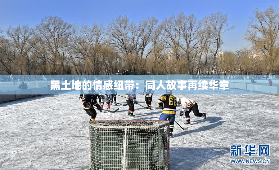 黑土地的情感纽带：同人故事再续华章