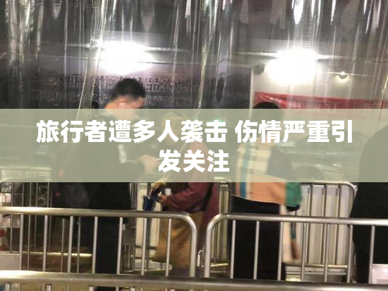 旅行者遭多人袭击 伤情严重引发关注
