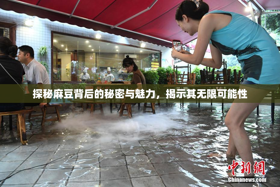 探秘麻豆背后的秘密与魅力，揭示其无限可能性