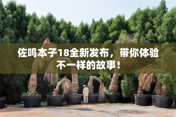 佐鸣本子18全新发布，带你体验不一样的故事！