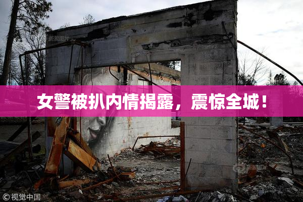 女警被扒内情揭露，震惊全城！
