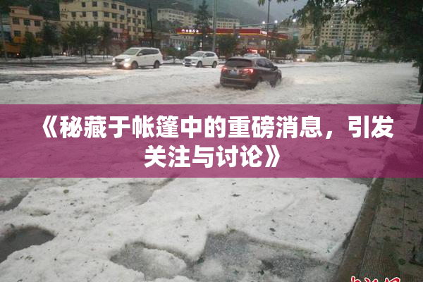 《秘藏于帐篷中的重磅消息，引发关注与讨论》