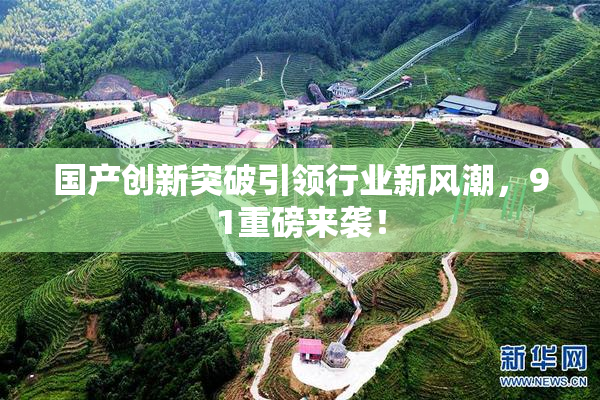 国产创新突破引领行业新风潮，91重磅来袭！
