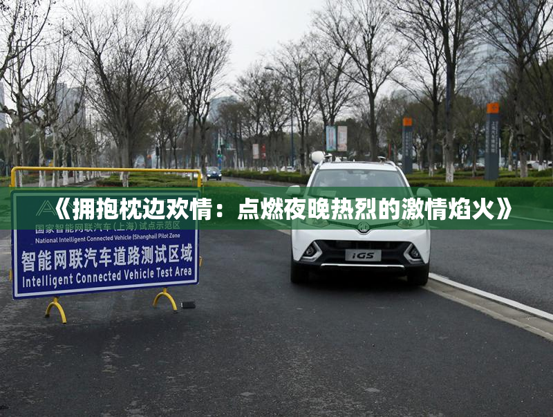 《拥抱枕边欢情：点燃夜晚热烈的激情焰火》