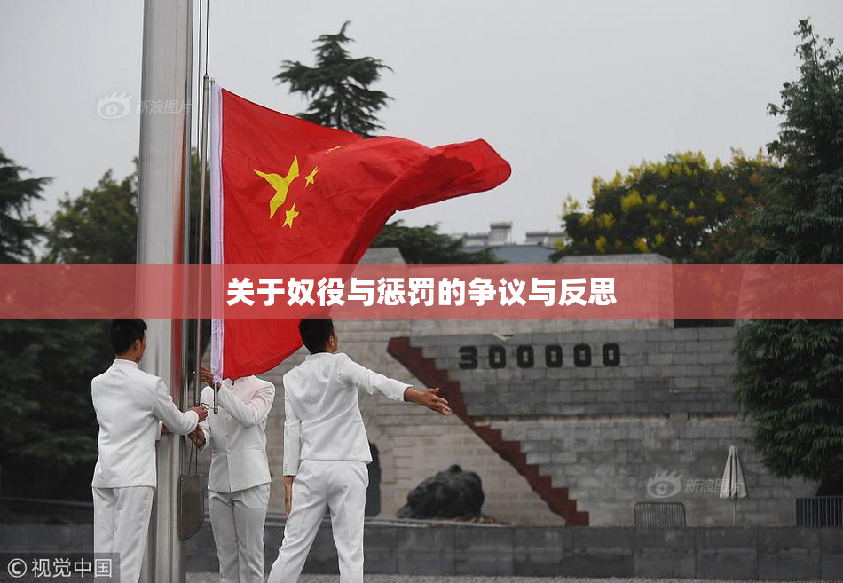关于奴役与惩罚的争议与反思
