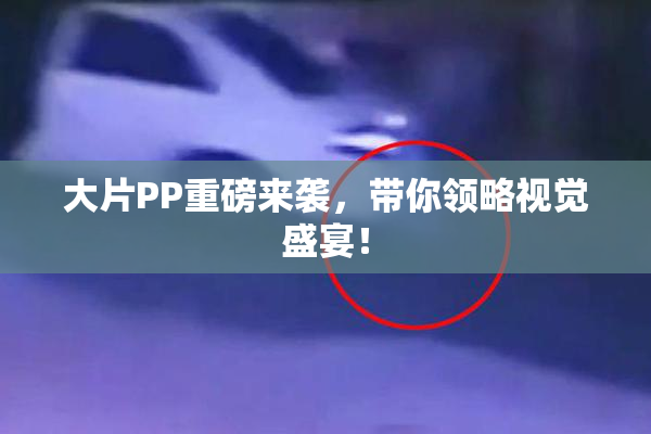 大片PP重磅来袭，带你领略视觉盛宴！