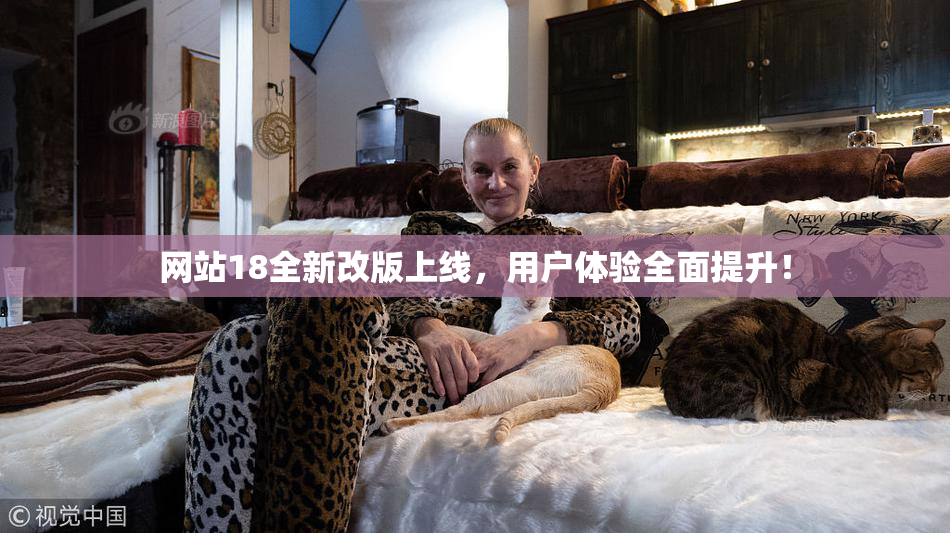网站18全新改版上线，用户体验全面提升！