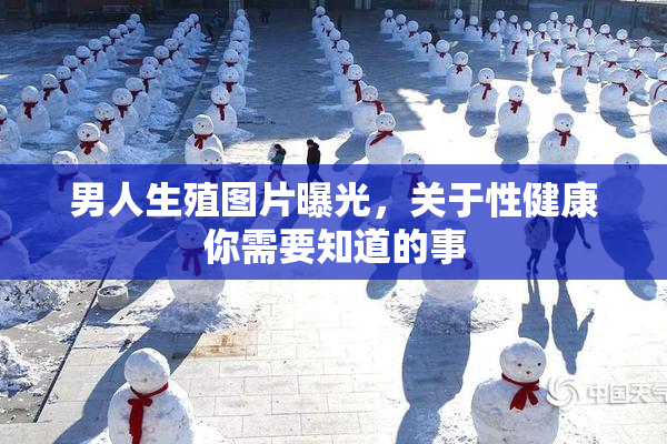 男人生殖图片曝光，关于性健康你需要知道的事