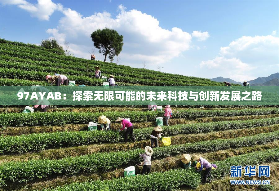 97AYAB：探索无限可能的未来科技与创新发展之路