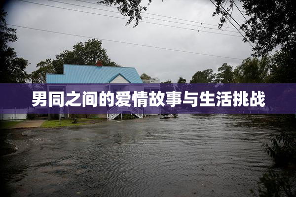 男同之间的爱情故事与生活挑战
