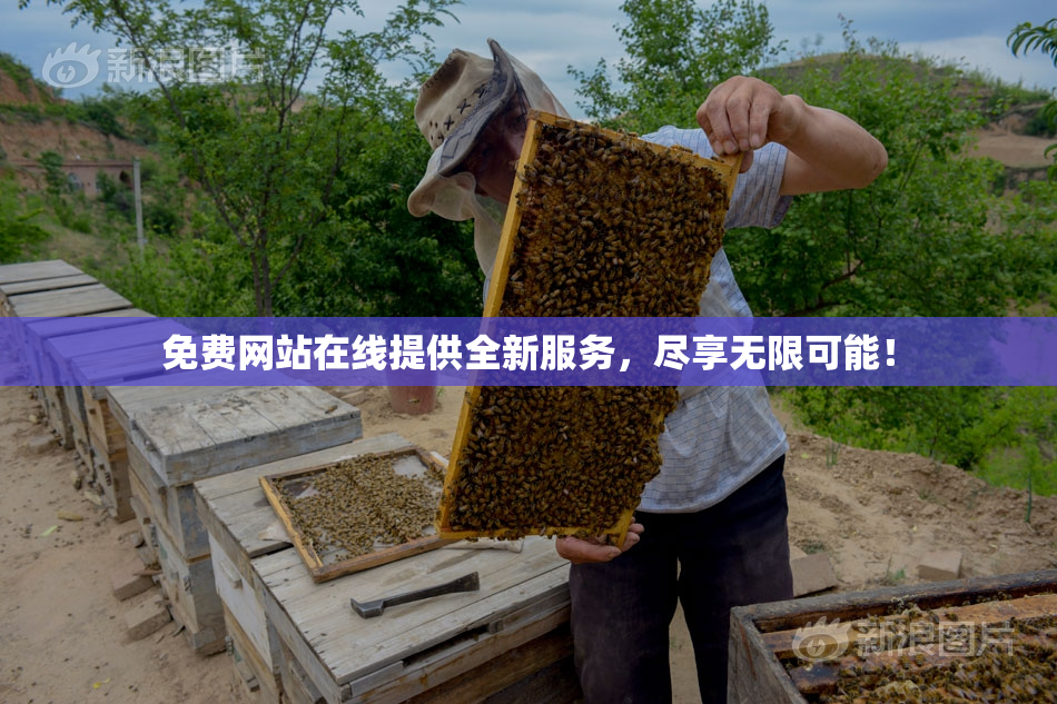 免费网站在线提供全新服务，尽享无限可能！