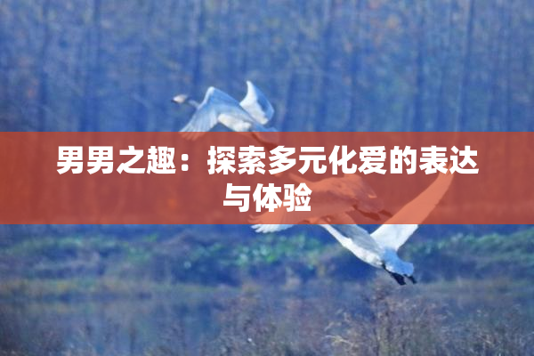 男男之趣：探索多元化爱的表达与体验