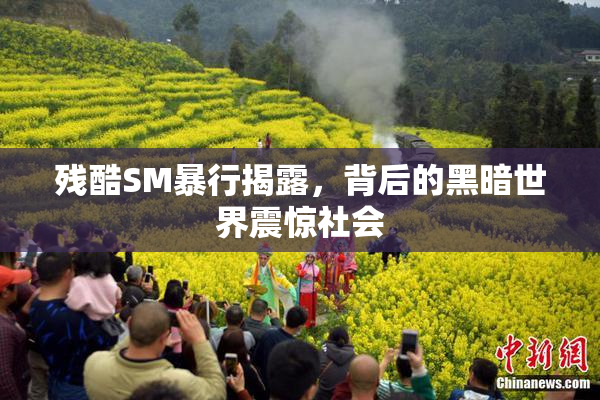 残酷SM暴行揭露，背后的黑暗世界震惊社会