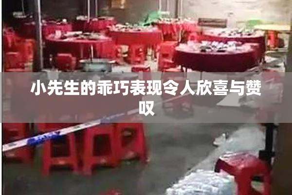 小先生的乖巧表现令人欣喜与赞叹