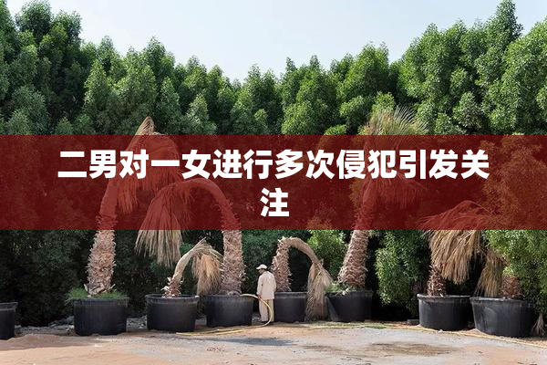 二男对一女进行多次侵犯引发关注