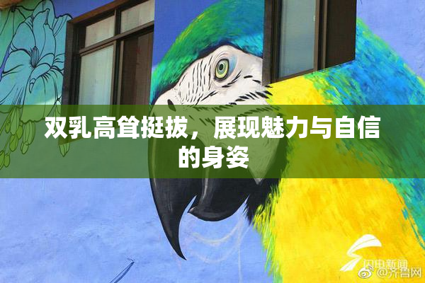 双乳高耸挺拔，展现魅力与自信的身姿