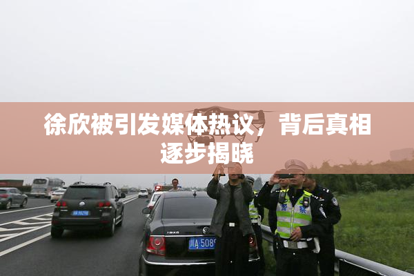徐欣被引发媒体热议，背后真相逐步揭晓