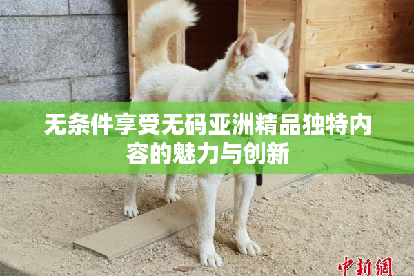 无条件享受无码亚洲精品独特内容的魅力与创新