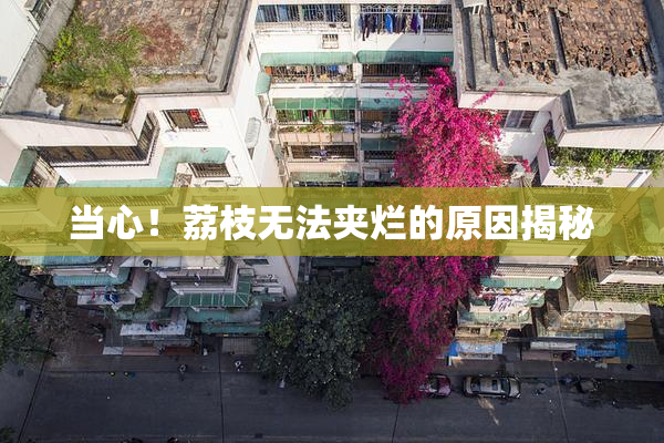 当心！荔枝无法夹烂的原因揭秘