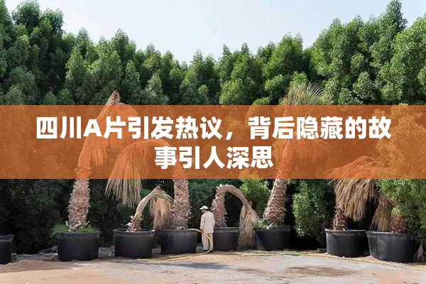 四川A片引发热议，背后隐藏的故事引人深思