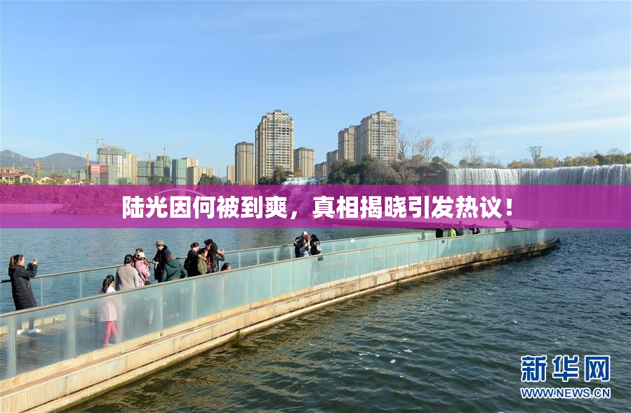陆光因何被到爽，真相揭晓引发热议！