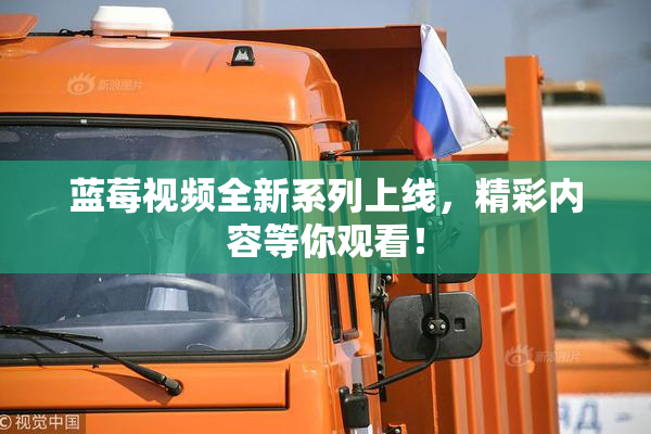 蓝莓视频全新系列上线，精彩内容等你观看！