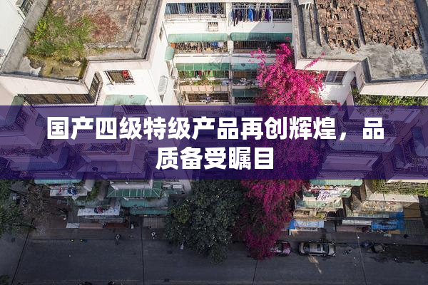 国产四级特级产品再创辉煌，品质备受瞩目