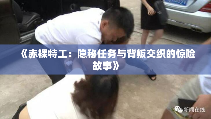 《赤裸特工：隐秘任务与背叛交织的惊险故事》