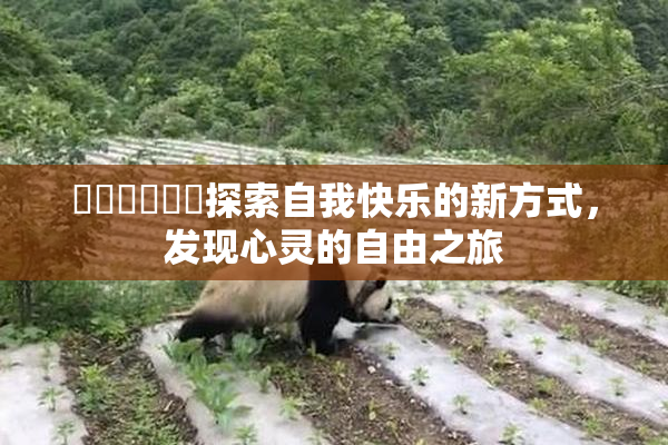 ❌‌❌‌❌‌探索自我快乐的新方式，发现心灵的自由之旅