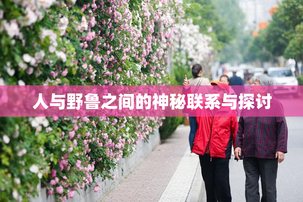 人与野鲁之间的神秘联系与探讨