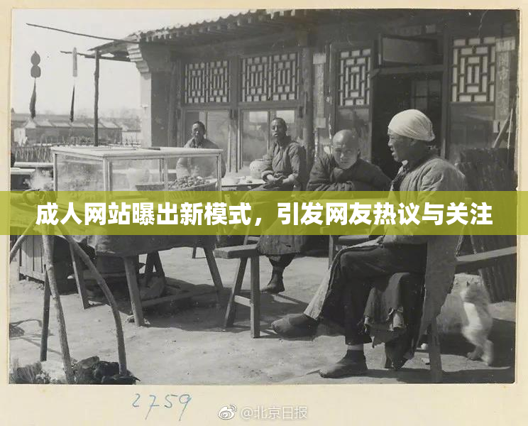 成人网站曝出新模式，引发网友热议与关注