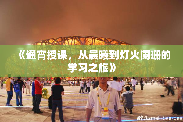 《通宵授课，从晨曦到灯火阑珊的学习之旅》
