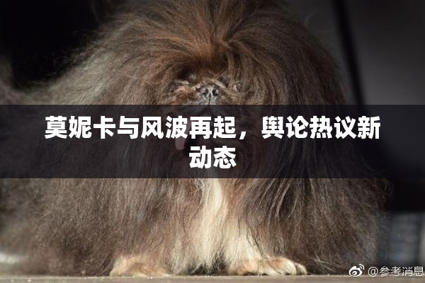 莫妮卡与风波再起，舆论热议新动态