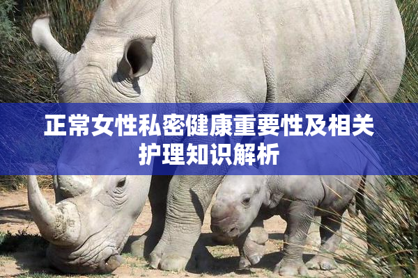 正常女性私密健康重要性及相关护理知识解析