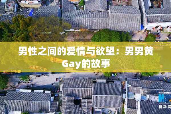 男性之间的爱情与欲望：男男黄Gay的故事