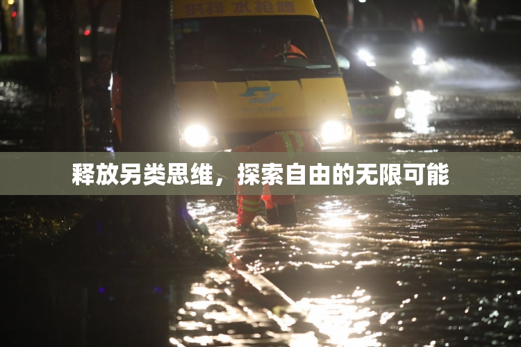 释放另类思维，探索自由的无限可能