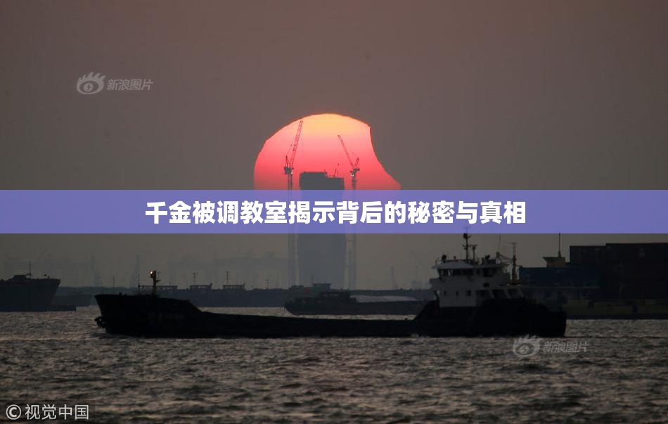 千金被调教室揭示背后的秘密与真相