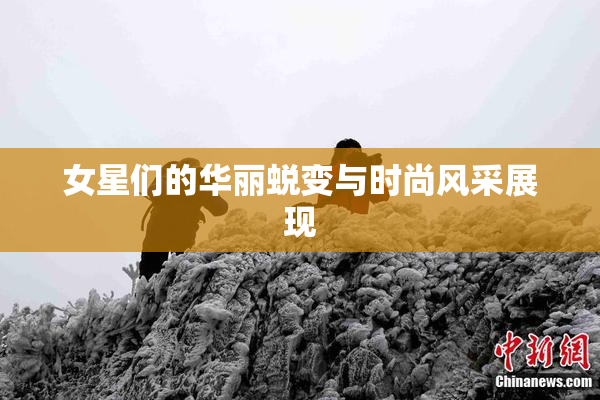 女星们的华丽蜕变与时尚风采展现