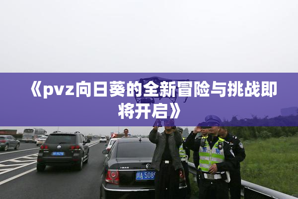 《pvz向日葵的全新冒险与挑战即将开启》