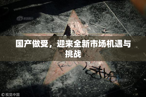 国产做受，迎来全新市场机遇与挑战