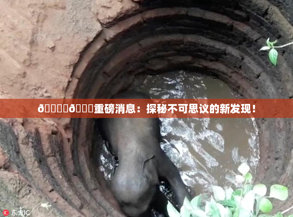 🔞‌🍌重磅消息：探秘不可思议的新发现！