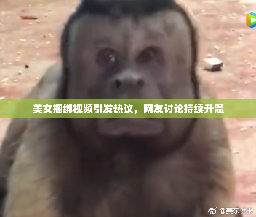美女捆绑视频引发热议，网友讨论持续升温
