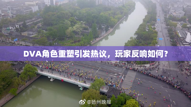 DVA角色重塑引发热议，玩家反响如何？